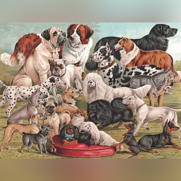 1000 Piece Dog Breeds 26 5/8” x  19 1/4”Jigsaw Puzzle NY Puzzle Company - Picture 3 of 5